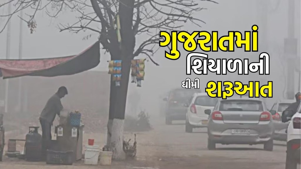 Gujarat Winter : ગુજરાતમાં શિયાળાની ધીમી શરુઆત, સવારે ઠંડીનો અહેસાસ, તાપમાનમાં સામાન્ય ઘટાડો