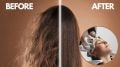 Hair Care Tips: ઘરે બનાવો નેચરલ હેર કન્ડિશનર, શુષ્ક વાળ થશે નરમ અને ચમકદાર, પૈસાની પણ બચત Hair Conditioner | hair care tips | homemade Hair Conditioner