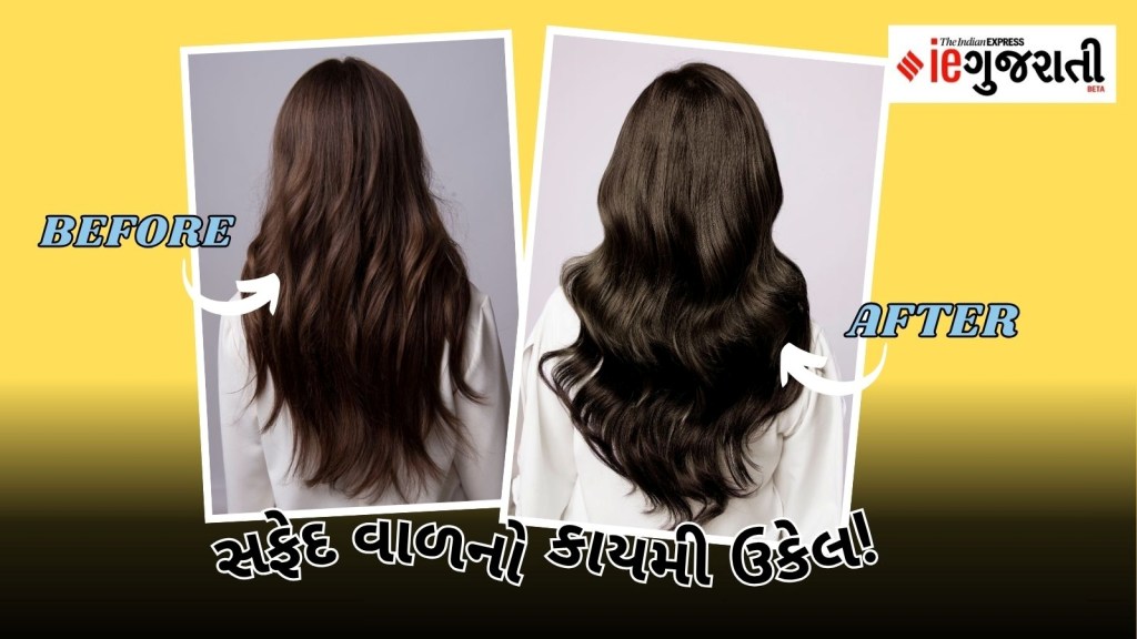 સફેદ વાળનો કાયમી ઉકેલ! એક કલાકમાં કુદરતી રીતે વાળ કાળા કરી દેશે આ પાઉડર