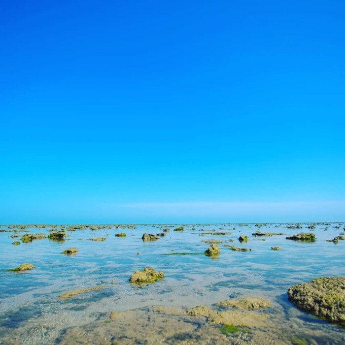 <strong>પીરોટન ટાપુ દ્વારકા નજીક જોવાલાયક સ્થળ</strong><br>પીરોટન ટાપુ ગુજરાતના જામનગર જિલ્લામાં મુખ્ય શહેરથી 22 કિમી અને દ્વારકાથી 108 કિમી દૂર આવેલું છે. અહીં પ્રવાસીઓ સુંદર, શાંત અને સ્વચ્છ દરિયા કિનારે ફરી શકે છે. ઉપરાંત વિવિધ સમુદ્રી જીવો અને વનસ્પતિઓને જોવા અને જાણવાની તક મળે છે. (Photo: officialtravelcasters)