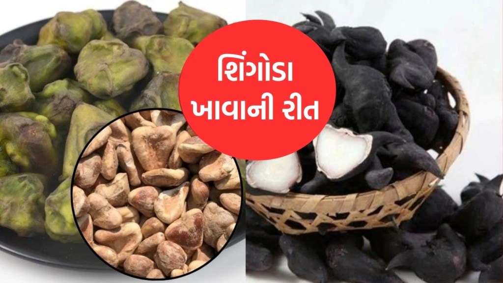 શિંગોડા રોજ ખાવાથી સ્વાસ્થ્ય પર શું થાય છે અસર, તેને બાફીને, કાચા કે સુકાવીને કઇ રીતે ખાવા, જાણો