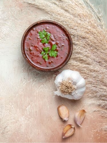 કાઠિયાવાડી લસણની ચટણી એકવાર બનાવશો તો વારંવાર બનાવવાનું થશે મન