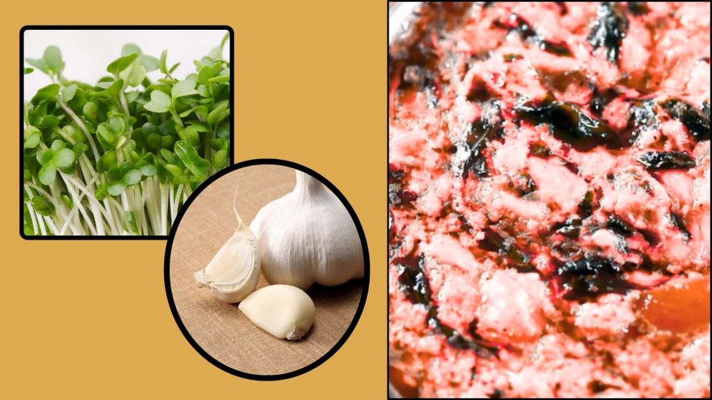 લસણ મેથીનું શાક રેસીપી, ઘરેજ આ રીતે બનાવો, ઠંડીમાં રહેશો તાજામાજા ! લસણ મેથીનું શાક રેસીપી, ઘરેજ આ રીતે બનાવો, ઠંડીમાં રહેશો તાજામાજા !