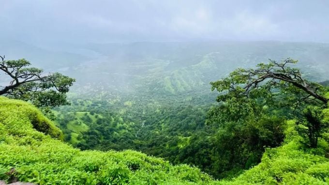 <strong>મહાબળેશ્વર હિલ સ્ટેશન</strong><br>મહાબળેશ્વર મહારાષ્ટ્રનું પ્રખ્યાત હિલ સ્ટેશન છે, જે મુંબઇથી 235 કિમી દૂર આવેલું છે. ઉંચા લીલાછમ પહાડ, ઉંડી ખીણ, ઉંચાઇ પરથી નીચે પડતા ઝરણાં, વાદળ અને ધુમ્મસ પ્રવાસીઓના મનને શાંતિ આપી છે. (Photo: Social Media)