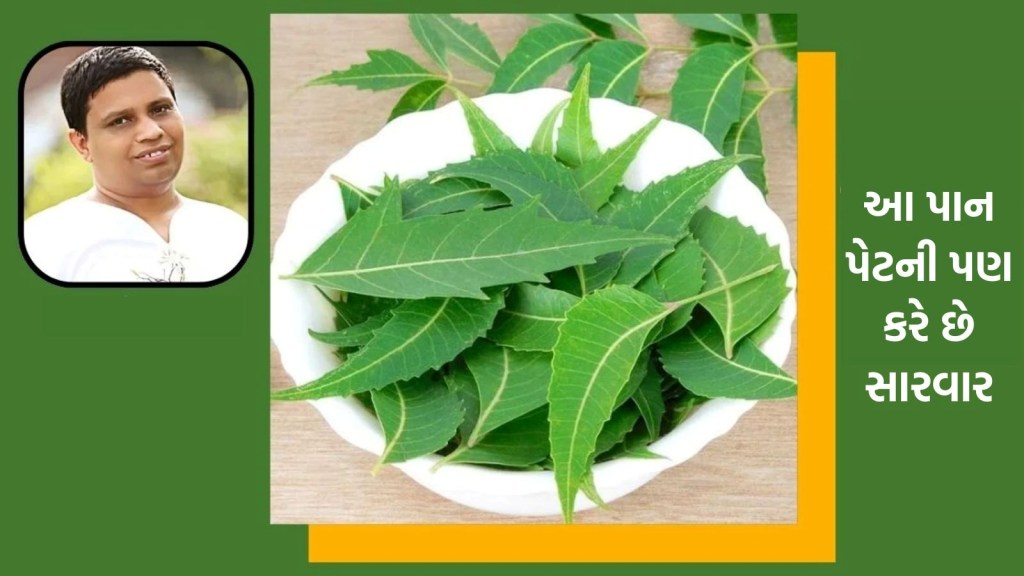 કડવા નહીં પણ અમૃત છે આ પાન, લિવરથી લઇને ડાયાબિટીસ સુધીની કરે છે સારવાર!