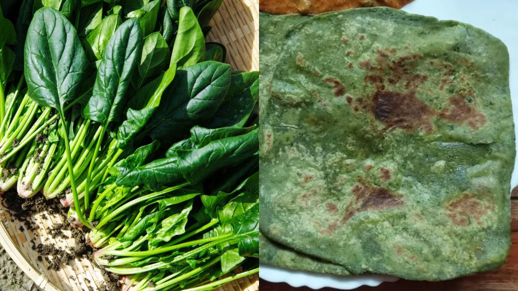 Palak Paratha Recipe | ઠંડીમાં બાળકોને ખવડાવો પાલક પરાઠા, જાણો સ્ટેપ બાય સ્ટેપ રેસીપી Palak Paratha Recipe | ઠંડીમાં બાળકોને ખવડાવો પાલક પરાઠા, જાણો સ્ટેપ બાય સ્ટેપ રેસીપી