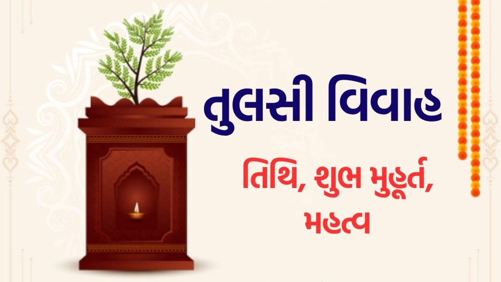 Tulsi Vivah 2025 : ક્યારે છે તુલસી વિવાહ? જાણો સાચી તિથિ, પૂજાનું શુભ મુહૂર્ત અને ધાર્મિક મહત્વ Tulsi Vivah 2025 : ક્યારે છે તુલસી વિવાહ? જાણો સાચી તિથિ, પૂજાનું શુભ મુહૂર્ત અને ધાર્મિક મહત્વ