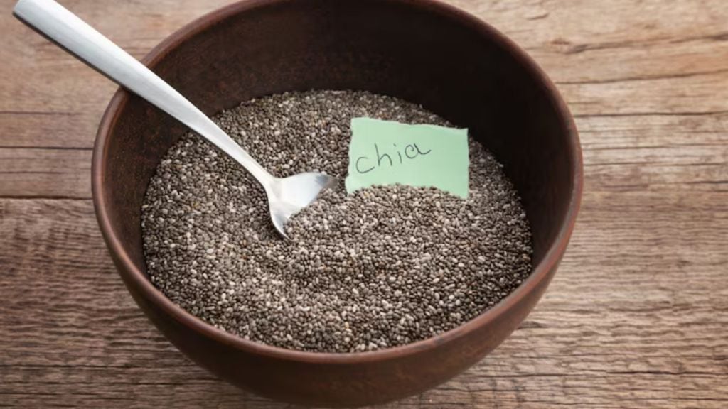 Chia Seeds | ચિયા બીજની પણ આડઅસરો છે, આ પાંચ લોકોએ ન ખાવા જોઈએ