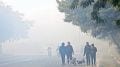 winter weather india - gujarat