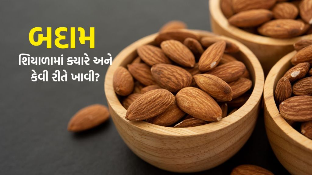 Almond Benefits: બદામ પલાળેલી કે સુકી શિયાળામાં કેવી રીતે ખાવી? જાણો આયુર્વેદિક નિષ્ણાંત પાસે સાચી રીત અને સમય Almond Benefits: બદામ પલાળેલી કે સુકી શિયાળામાં કેવી રીતે ખાવી? જાણો આયુર્વેદિક નિષ્ણાંત પાસે સાચી રીત અને સમય