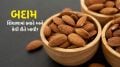 Almond Benefits: બદામ પલાળેલી કે સુકી શિયાળામાં કેવી રીતે ખાવી? જાણો આયુર્વેદિક નિષ્ણાંત પાસે સાચી રીત અને સમય Almond | Almonds Benefits | soaked vs raw almond | soaked almond Benefits | raw almond Benefits