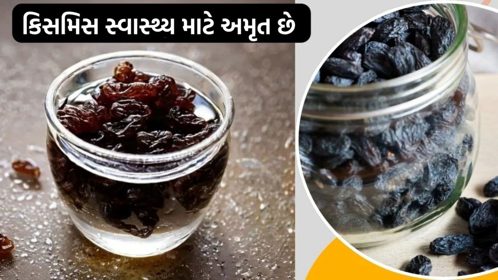 કિસમિસને રાત્રે પાણીમાં પલાળી રાખો અને સવારે ખાઇ લો, બોડીને મળશે આ 10 મોટા ફાયદા કિસમિસને રાત્રે પાણીમાં પલાળી રાખો અને સવારે ખાઇ લો, બોડીને મળશે આ 10 મોટા ફાયદા