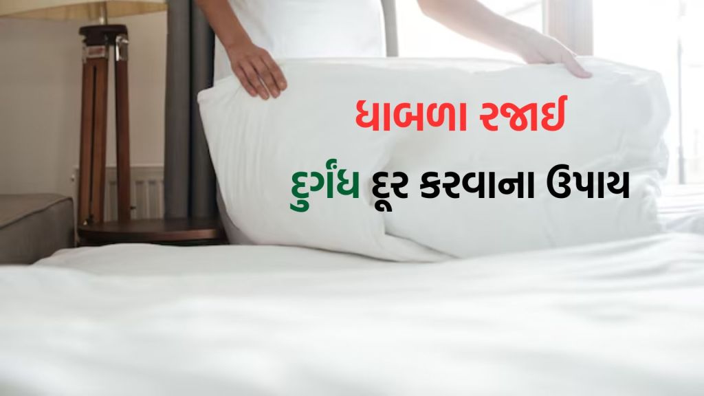 Blanket Cleaning Tips : ધાબળા રજાઈ માંથી દુર્ગંઘ આવે છે? આ 5 ટીપ્સ અજમાવો, ડ્રાય ક્લિનના પૈસા બચી જશે Blanket Cleaning Tips : ધાબળા રજાઈ માંથી દુર્ગંઘ આવે છે? આ 5 ટીપ્સ અજમાવો, ડ્રાય ક્લિનના પૈસા બચી જશે