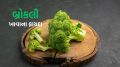 Broccoli : દરરોજ બ્રોકલીનું સેવન કરવાથી સ્વાસ્થ્ય પર કેવી અસર થાય છે? જાણો સ્વાસ્થ્ય લાભ Broccoli Benefits | Broccoli recipe | health beneifts of Broccoli \