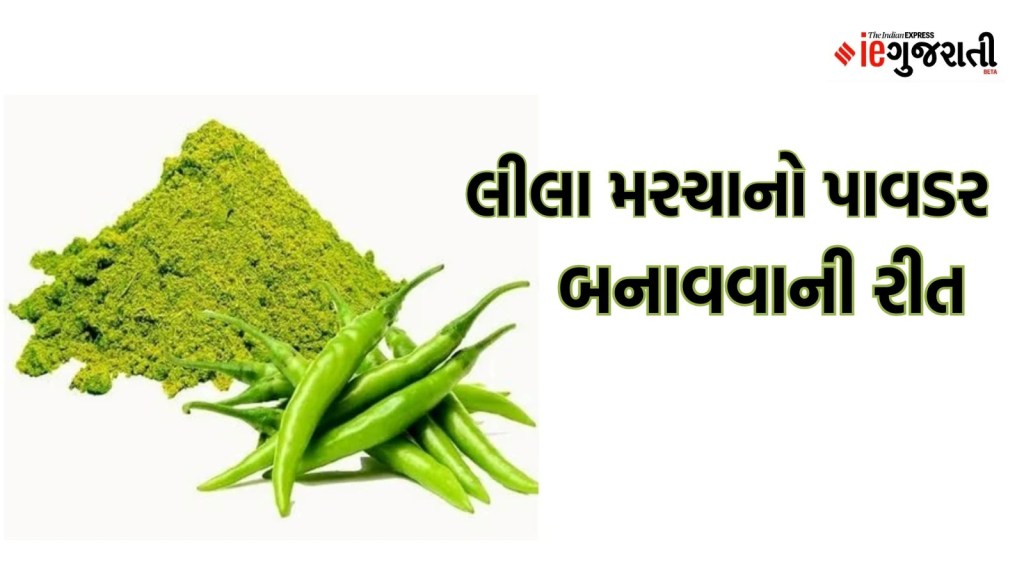 આવી રીતે બનાવો લીલા મરચાનો પાવડર, મહિનાઓ સુધી કરી શક્શો સ્ટોર
