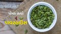 Pumpkin Seeds Benefits : આ લીલા દાણા બહુ ગુણકારી, મલ્ટીવિટામીનનું પાવરહાઉસ, આ 5 રીતે સેવન કરો Pumpkin Seeds Benefits | Pumpkin Seeds | kaddu seeds benefits | koda na beej | kaddu seeds