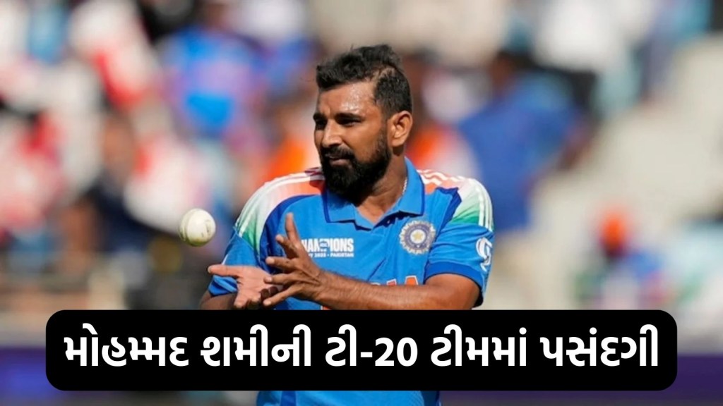 મોહમ્મદ શમીની ટી-20 ટીમમાં પસંદગી, આ ખેલાડી કેપ્ટન બન્યો; જુઓ સંપૂર્ણ ટીમ મોહમ્મદ શમીની ટી-20 ટીમમાં પસંદગી, આ ખેલાડી કેપ્ટન બન્યો; જુઓ સંપૂર્ણ ટીમ
