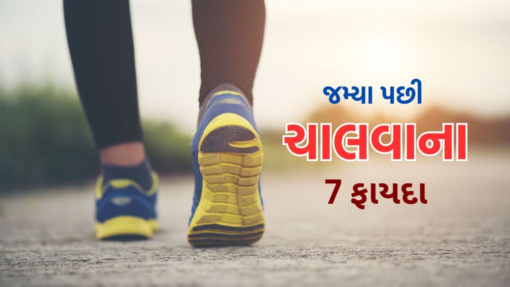 Health Tips : જમ્યા પછી 10 મિનિટ ચાલવાના 7 ચમત્કારિક ફાયદા, કબજિયાત અને ડાયાબિટીસ દર્દી જરૂર વાંચે Health Tips : જમ્યા પછી 10 મિનિટ ચાલવાના 7 ચમત્કારિક ફાયદા, કબજિયાત અને ડાયાબિટીસ દર્દી જરૂર વાંચે