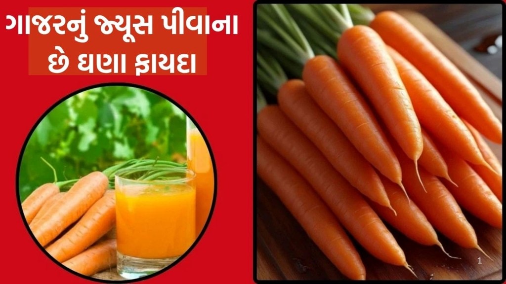 શિયાળામાં અમૃતનું કામ કરે છે આ શાકભાજીનું જ્યૂસ, ડોક્ટર પાસેથી જાણો 5 મોટા ફાયદા શિયાળામાં અમૃતનું કામ કરે છે આ શાકભાજીનું જ્યૂસ, ડોક્ટર પાસેથી જાણો 5 મોટા ફાયદા