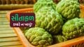 custard apple benefits | custard apple | custard apple side effects | sitafal benefits