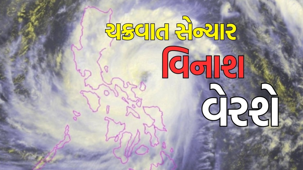 Cyclone Senyar: ચક્રવાત સેન્યાર ચાર રાજ્યોમાં વિનાશ વેરશે, 100 કિમીની ઝડપે તોફાન અને વરસાદની ચેતવણી