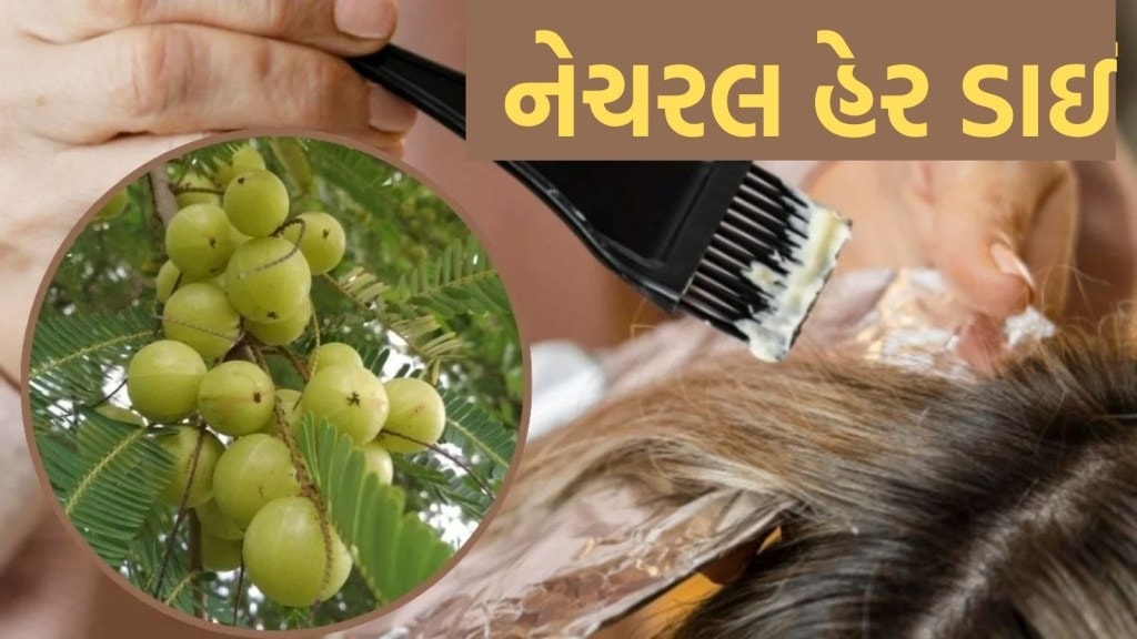 ઘરે કેવી રીતે બનાવવી નેચરલ હેર ડાઇ? આ રીતે એકપણ બાલ સફેદ દેખાશે નહીં