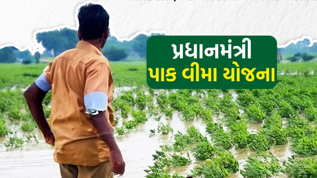 PMFBY: ખેડૂત માટે ખુશખબર! પ્રધાનમંત્રી પાક વીમા યોજનામાં આ 2 નુકસાન પણ કવર થશે, કૃષિ મંત્રીની જાહેરાત