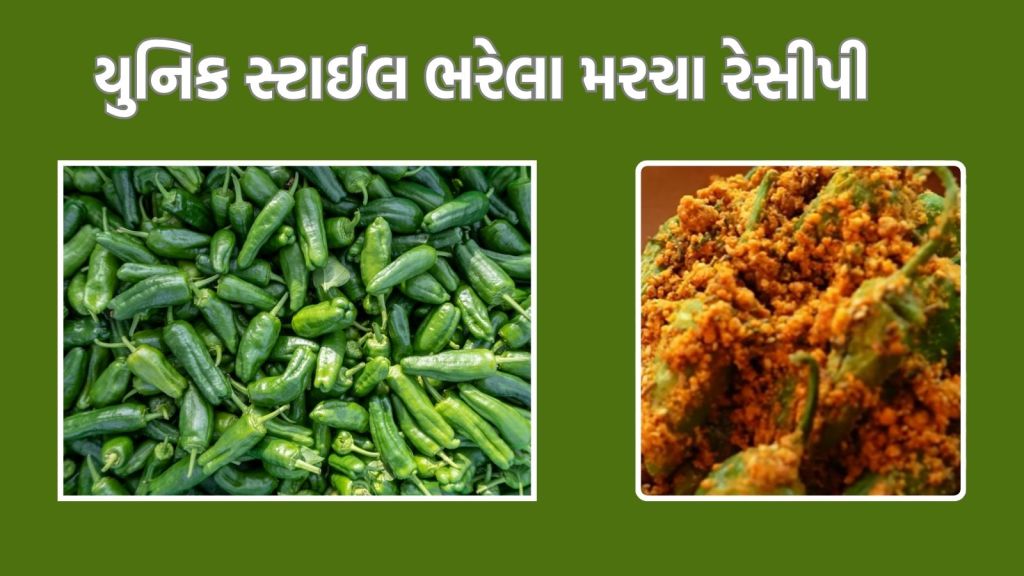 ભરેલા મરચા રેસીપી, આ રીતે યુનિક સ્ટાઇલમાં બનાવો, શાકની પણ જરૂર નહિ પડે! ભરેલા મરચા રેસીપી, આ રીતે યુનિક સ્ટાઇલમાં બનાવો, શાકની પણ જરૂર નહિ પડે!