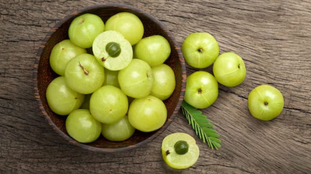 આમળાનું સરળતાથી સેવન કરવાની શ્રેષ્ઠ રીતો, આ રેસીપી વધારશે સ્વાદ