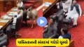 donkey in pakistani parliament