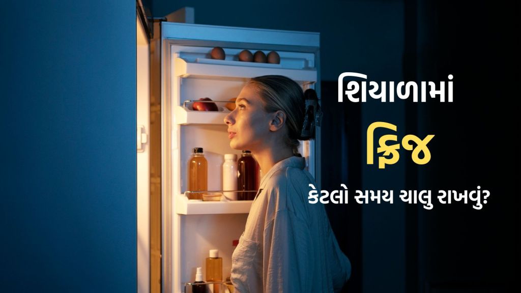 શિયાળામાં ફ્રિજ કેટલા કલાક ચલાવવું જોઇએ? વીજ બચત અને કૂલિંગ માટે આટલું Temperature રાખો