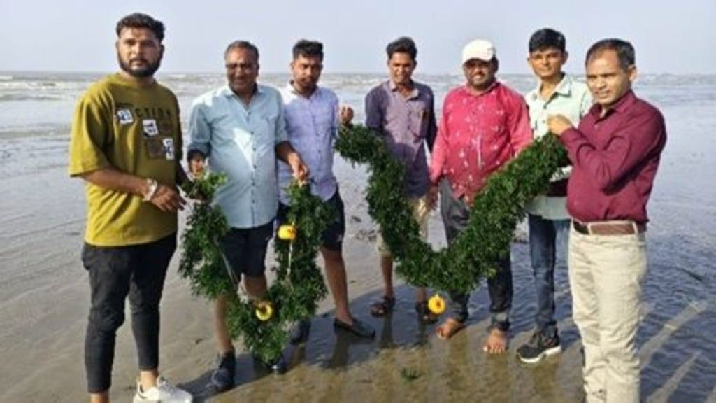 New prosperity rising in the sea