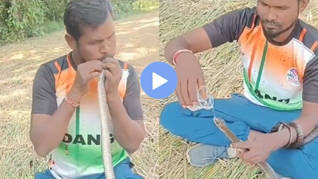VIRAL VIDEO: વલસાડમાં વીજ કરંટથી સાપ બેભાન થયો, આ માણસે CPR આપીને બચાવ્યો જીવ, ગુજરાતના મંત્રીએ કર્યા વખાણ VIRAL VIDEO: વલસાડમાં વીજ કરંટથી સાપ બેભાન થયો, આ માણસે CPR આપીને બચાવ્યો જીવ, ગુજરાતના મંત્રીએ કર્યા વખાણ