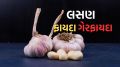 Garlic Benefits : દરરોજ સવારે લસણની 2 કળી ખાઓ; બ્લડ પ્રેશર, પાચનતંત્ર અને મગજ માટે સારું, ડોક્ટરે જણાવ્યા 5 ફાયદા Health Benefits Garlic | Garlic Benefits | Garlic Side Effects | empty stomach garlic benefits