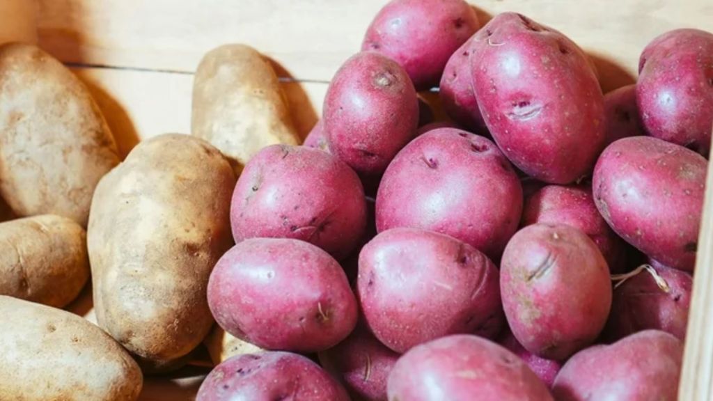 સફેદ બટાકા કે લાલ બટાકા શું સ્વાસ્થ્ય માટે ગુણકારી? સફેદ બટાકા કે લાલ બટાકા શું સ્વાસ્થ્ય માટે ગુણકારી?
