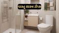 Vastu Tips For Bathroom: બાથરૂમમાં આ વસ્તુઓ રાખવાથી વાસ્તુ દોષ થશે, ગરીબી અને બીમારી આવશે Vastu Tips For Bathroom | Vastu Tips For home | Vastu Dosh Upay | vastu shastra remedies