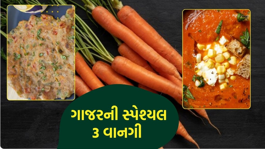 Gajar Recipes: ફક્ત હલવો જ નહીં, ગાજરથી બનાવો આ 3 વાનગીઓ; ખાનારા પૂછશે રેસીપી Gajar Recipes: ફક્ત હલવો જ નહીં, ગાજરથી બનાવો આ 3 વાનગીઓ; ખાનારા પૂછશે રેસીપી