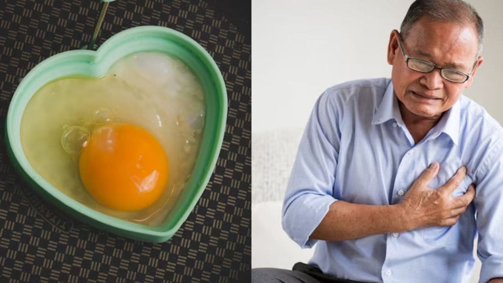 શું પીળા ઈંડાની જરદી ખાવાથી હાર્ટ એટેક આવે છે ? એક્સપર્ટ શું કહે છે?