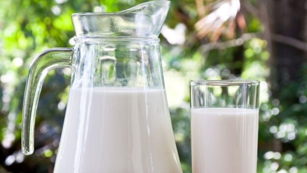 શું દૂધ પીવાથી વજન ઘટી શકે છે? જાણો સ્નાયુઓ પર કેવી રીતે કરે છે અસર