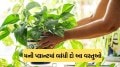 money plant vastu shastra